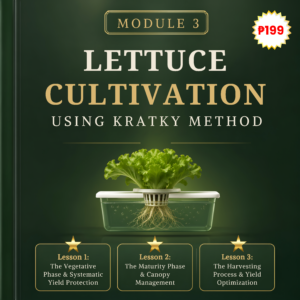 MODULE 3: BASIC LETTUCE CULTIVATION USING KRATKY METHOD