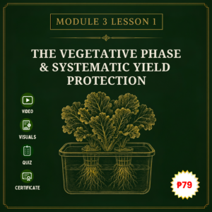Module 3 (Kratky): Vegetative Phase Lesson